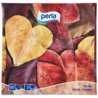 Perla Box Veline x 60 Sensation